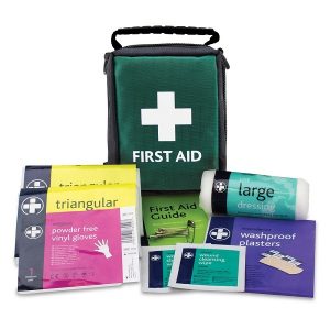HSE Compliant Lone Person First Aid Travel Kit in Small Green Bag