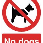 No Dogs Beyond This Point Sign