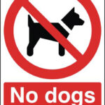 No Dogs Except Guide Dogs Sign