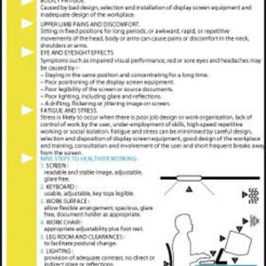 Display Screen Equipment Poster