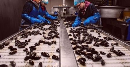 Why is it Important to Wear PPE in the Workplace