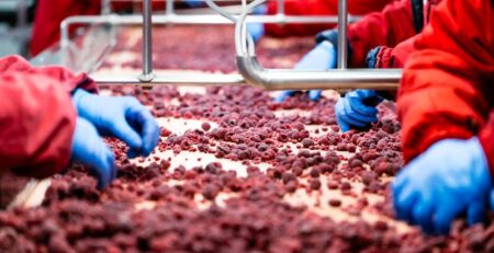 Why PPE Is Important in the Food Industry
